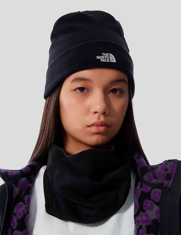 Gorro THE NORTH FACE norm beanie tnf black